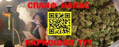 винт Будённовск