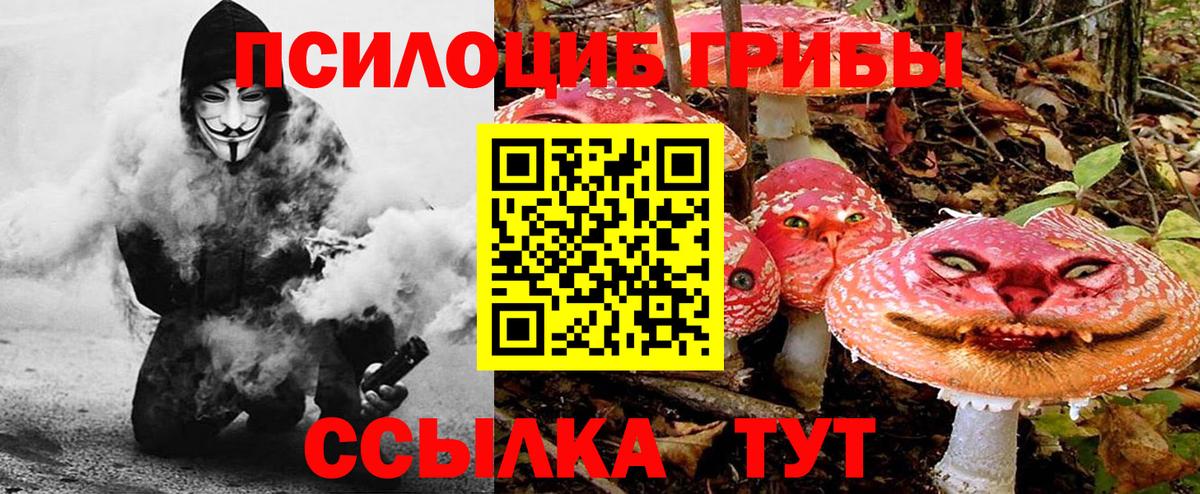 Галлюциногенные грибы Cubensis Ногинск